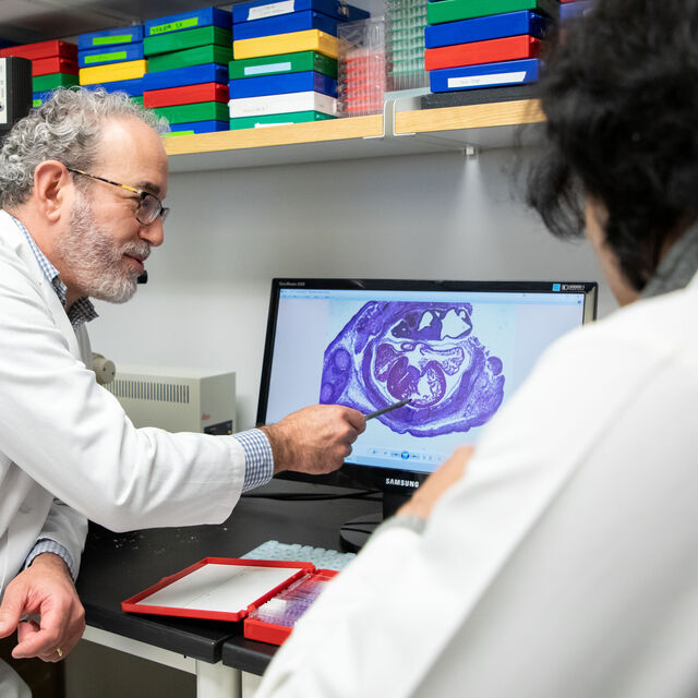 Ivan Moskowitz, MD PhD