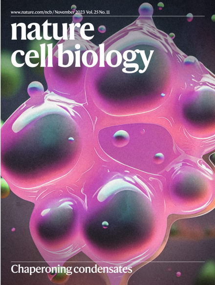 Nature Cell Biology cover image