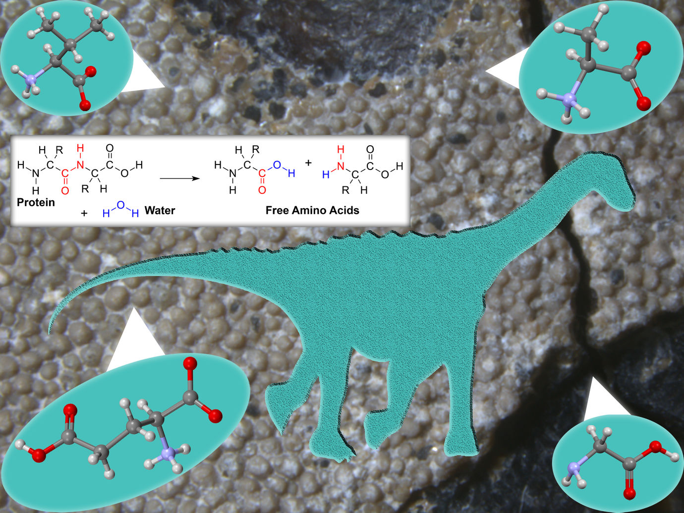 Protein Analysis Group – University of Copenhagen