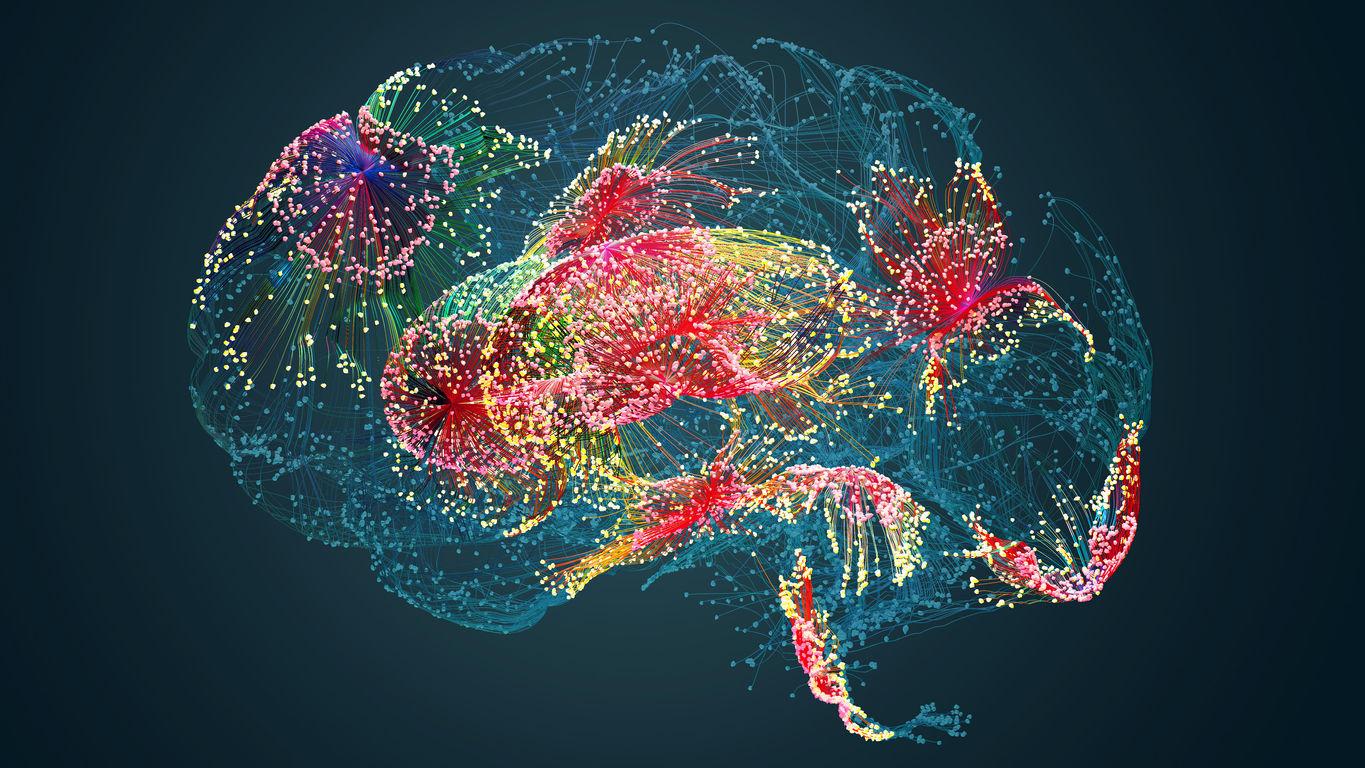 Surprisingly simple model explains how brain cells organize and connect