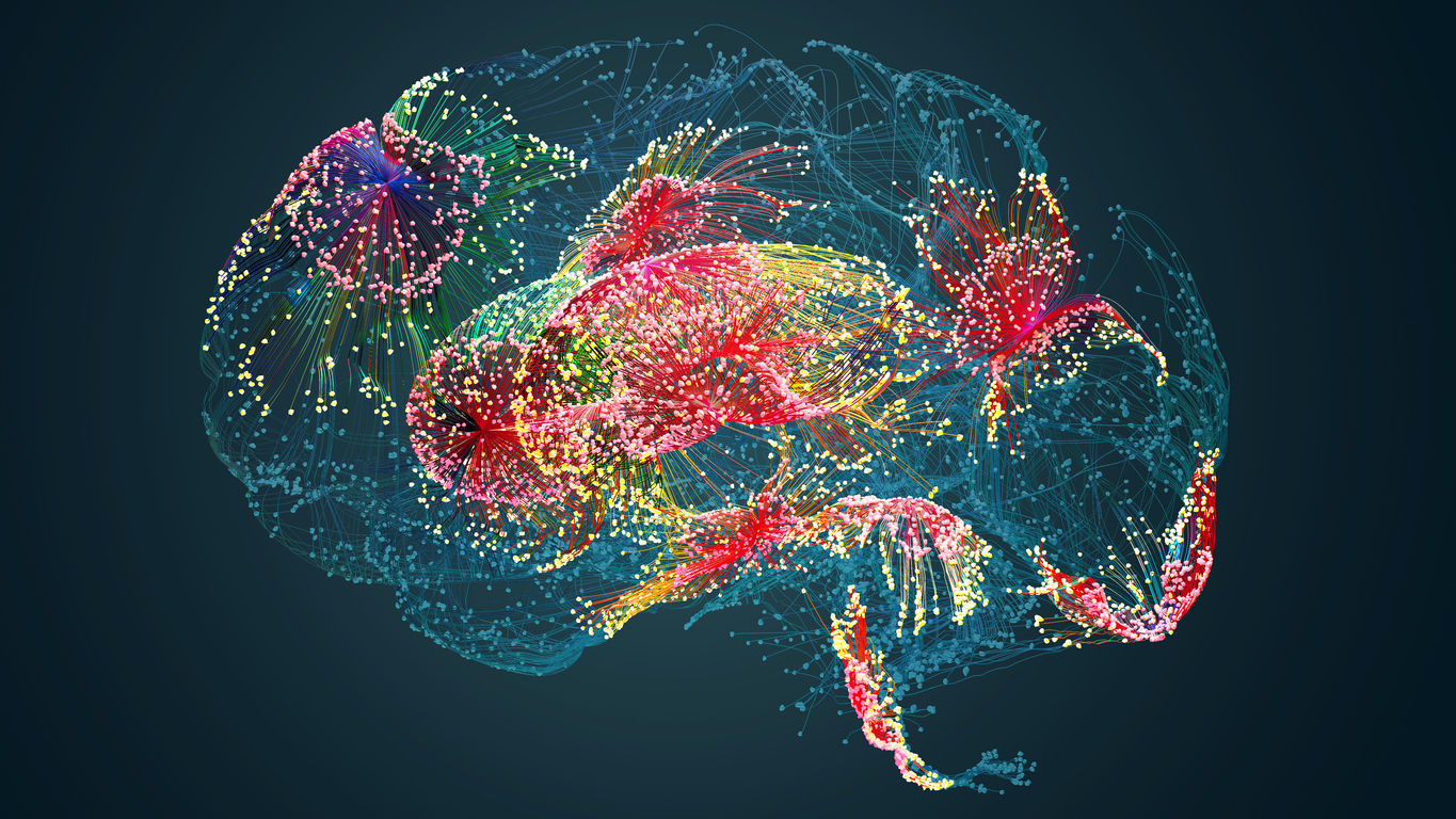 Brain Connect