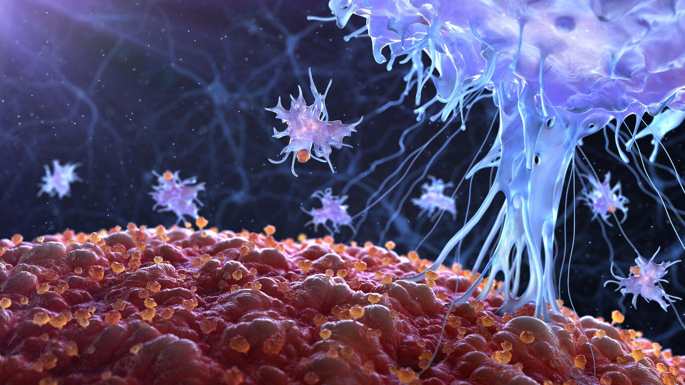 Peacekeeper cells protect the body from autoimmunity during