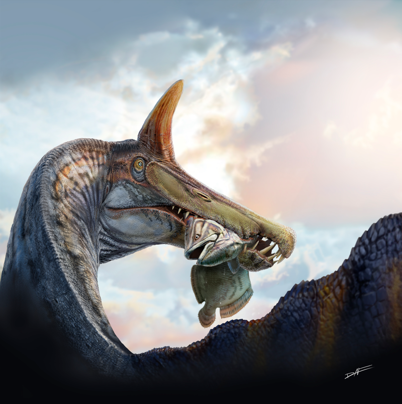 Paleoartist rendering of Spinosaurus mirabilis eating a coelacanth. 