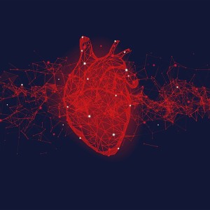 Stock image of vector drawing of a heart