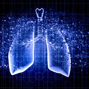 Digital illustration of human lungs