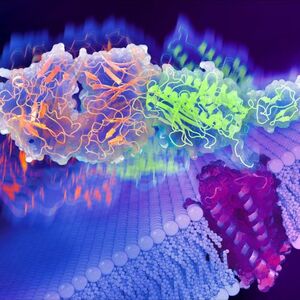 aGPCR extracellular region