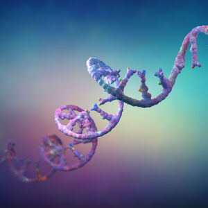 RNA strand