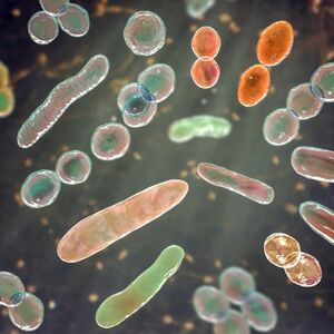 Microbes