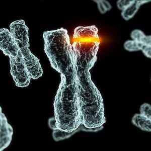 chromosomes