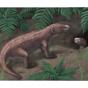 Artist’s rendition of Thrinaxodon, a cynodont from the Early Triassic, at the opening to its burrow.