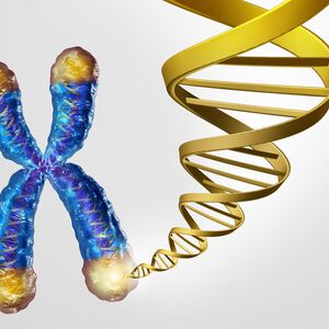 Illustration of a chromosome and DNA helix