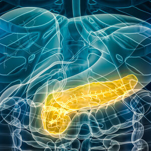 Illustration of the digestive system highlighting the pancreas.