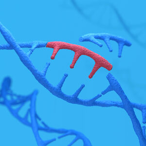 Illustration of gene editing