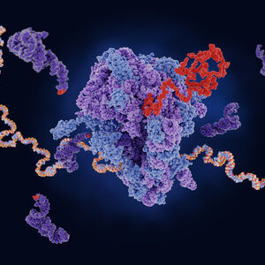 RNA molecules