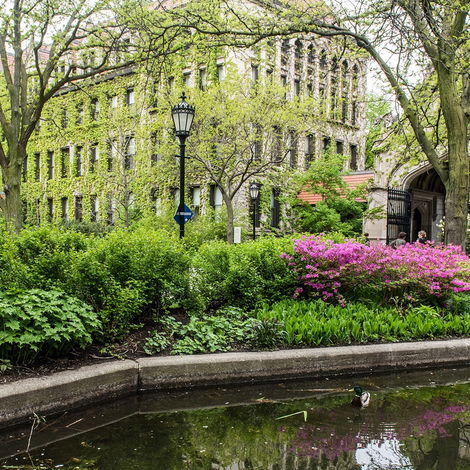 Botany Pond