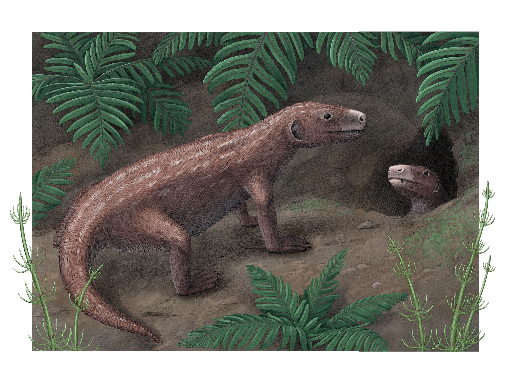Engineering simulations rewrite the timeline of the evolution of
