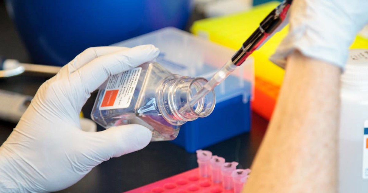 Basic Science Departments Biological Sciences Division The